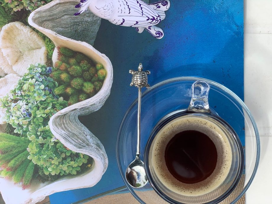 COLHER DE CAFÉ TURTLE– 6UN