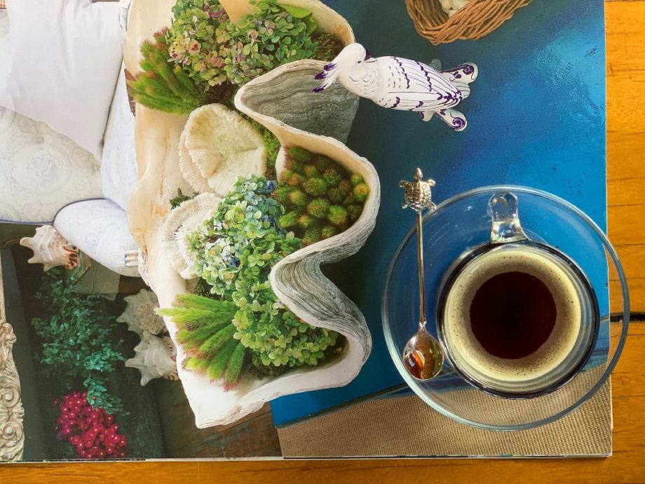 COLHER DE CAFÉ TURTLE– 6UN