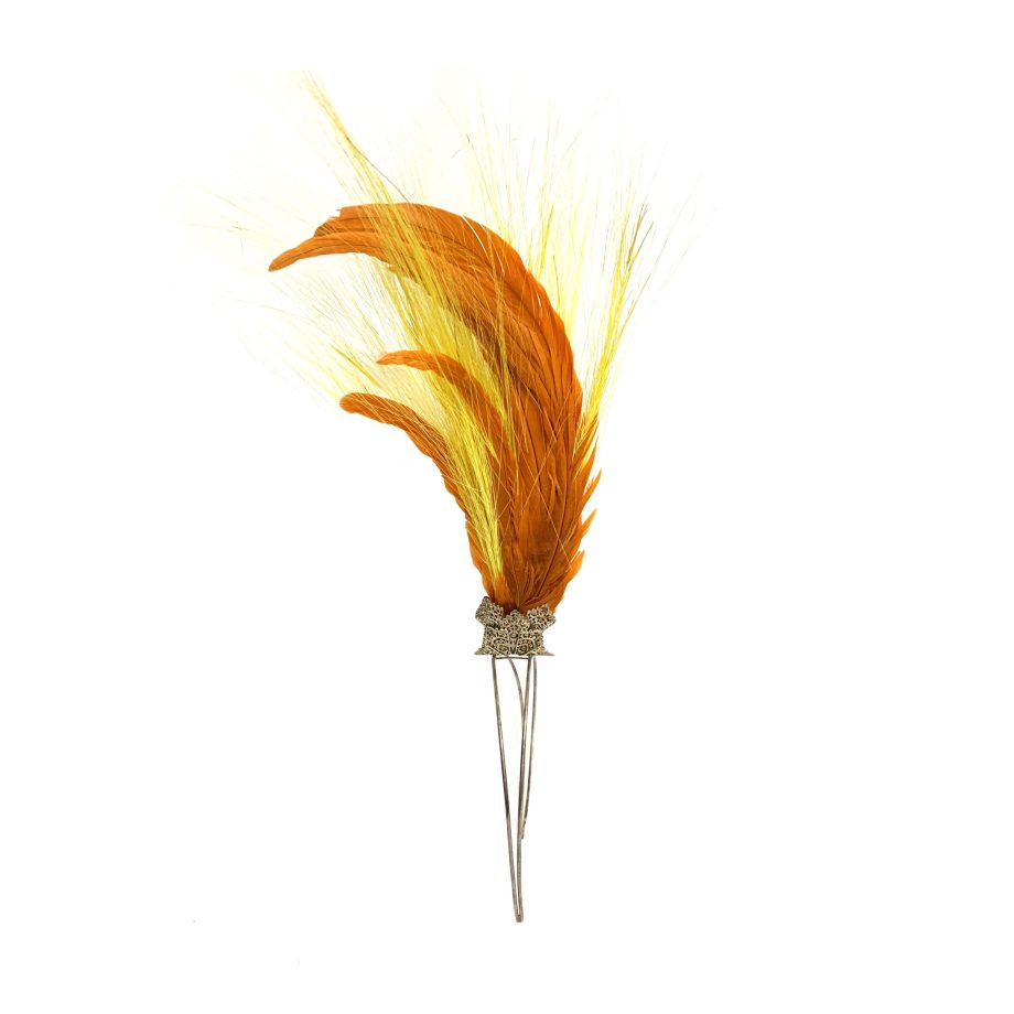 HEADPIECE COM PENAS E RAFIS
