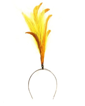 HEADPIECE COM PENAS E RAFIS