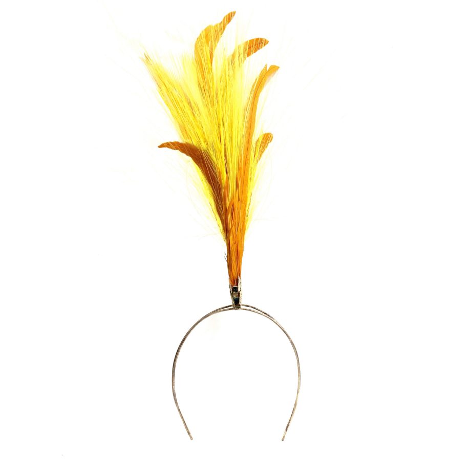 HEADPIECE COM PENAS E RAFIS