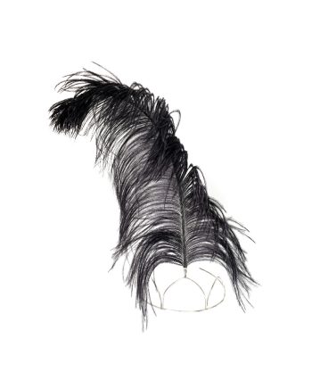 HEADPIECE COM PLUMA