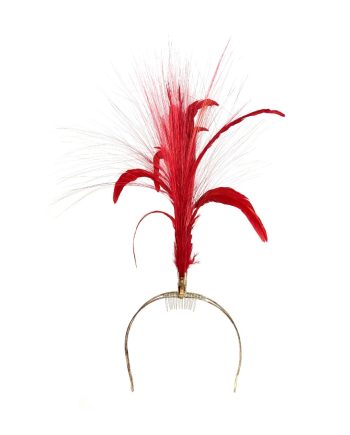 HEADPIECE COM PENAS E RAFIS