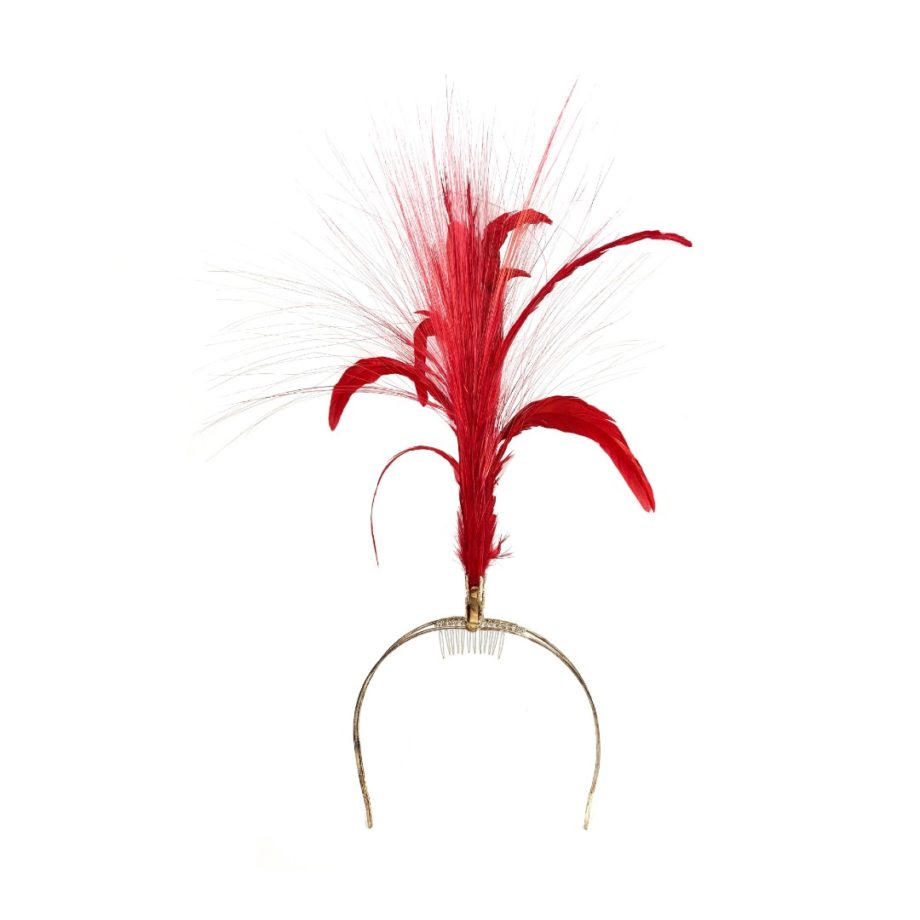 HEADPIECE COM PENAS E RAFIS