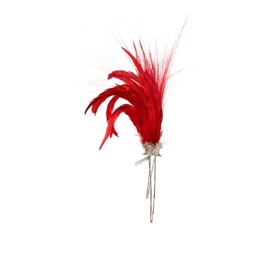HEADPIECE COM PENAS E RAFIS