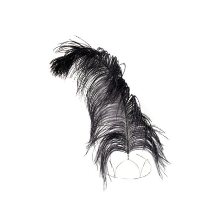 HEADPIECE COM PLUMA