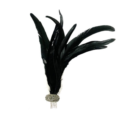 PENTE COM CRISTAIS E PENAS